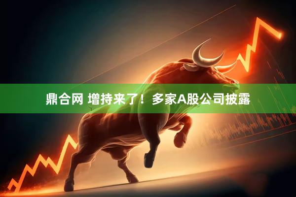 鼎合网 增持来了！多家A股公司披露
