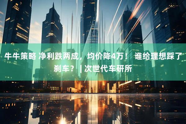 牛牛策略 净利跌两成，均价降4万！ 谁给理想踩了刹车？ | 次世代车研所