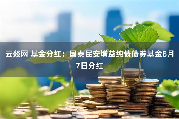 云燚网 基金分红：国泰民安增益纯债债券基金8月7日分红