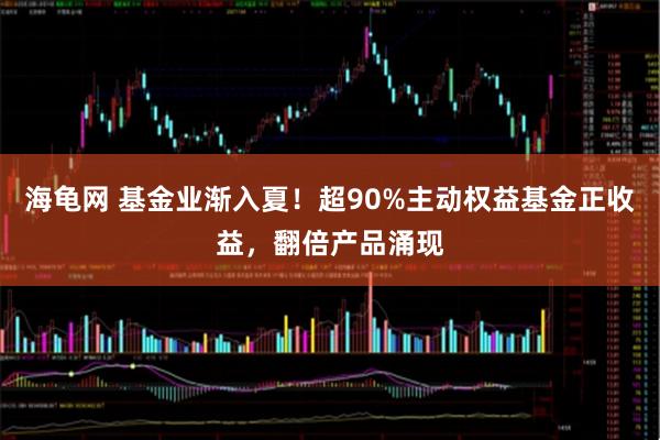海龟网 基金业渐入夏！超90%主动权益基金正收益，翻倍产品涌现