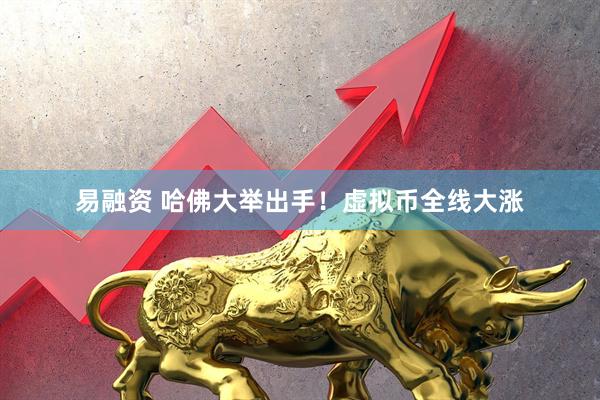 易融资 哈佛大举出手！虚拟币全线大涨